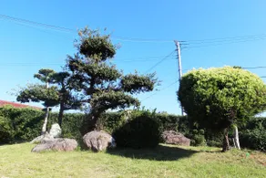 Yadokari kumano PrivateHouse 10pp FreeCarParking - Image 5