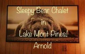 Sleepy Bear chalet w/AC Private lake - Image 2