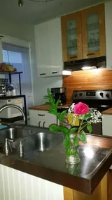Family Friendly In-Law Suite with Laundry - Image 4