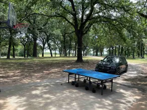 Oak tree retreat - Image 4
