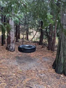 Family Cabin | Tire Swing & Forest Yard - Image 2