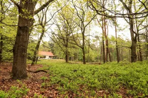 De Weeser Enk: Villa with private estate in Epe - Image 3
