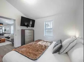 Dog Friendly • The Whyte House in Central Wilmy! - Image 4