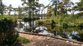 Llewellyn Cottage, a private waterfront residence - Image 5