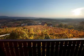 Vineyard Cottage Brodaric - Image 2
