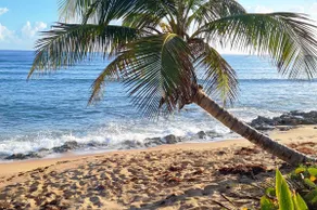 Two-bedroom apt,with walking distance beach access - Image 4
