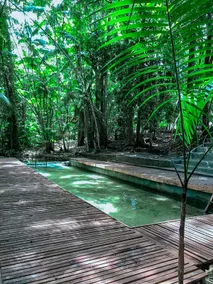 Sitio Alice, country house. - Image 2