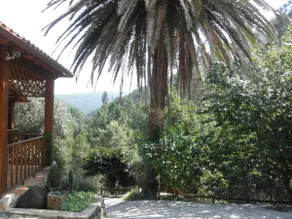 Casa Velha - Image 5