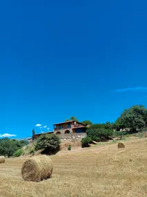 Amaltea Rural House - Image 2