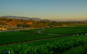Mansion on De Portola with Vineyard and Mountain view - Image 5