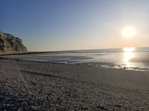 The Return of the Beach. - Image 3