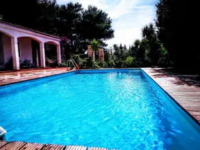 Villa with swimming pool and private pine forest 100 meters from the sea - Image 3
