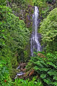 STHA 2017/0002 TA-061-740-4416-01 Hana Maui, Hawaii - Image 5