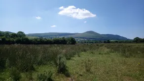 Ballyhoura Mountain Lodges - Image 4