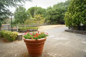 Paradise2 Etna Holiday - Image 2