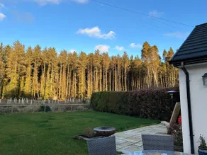 Favour Royal Cottage - dog friendly forest escape - Image 3