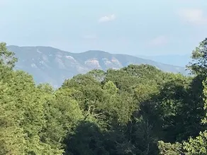 Ganze Gästesuite im Haus Edelweiss am Blue Ridge Parkway - Image 2