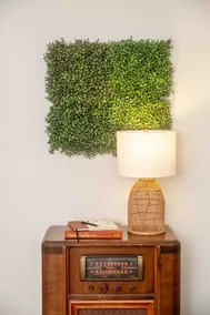 Cozy Home 5 Mins to Downtown | 2 Mins to Friends U - Image 3