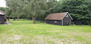 Skogshaga, Accommodation in the middle of an idyllic outdoor area - Image 3