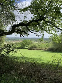 Mill View Cottage, West Stour, Dorset - Image 5