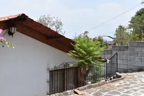 Villa Teresa, an unforgettable place - Image 4