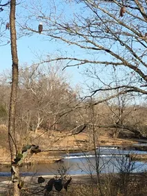 Private cabin w/water access - Image 5