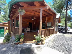 Honey Bear’s Cabin - Image 2