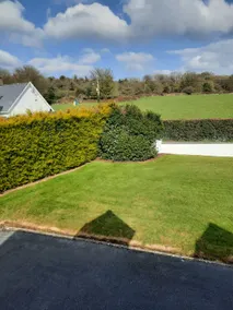 4 Bedroom, 15 min to Limerick city Quiet Retreat. - Image 3