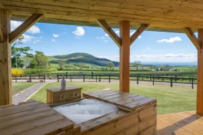 'Heartland' with open fire and hot tub & free wood - Image 4