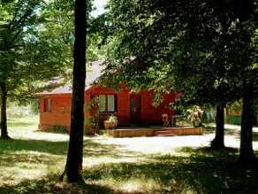 Cottage in the forest, deer call - Image 3