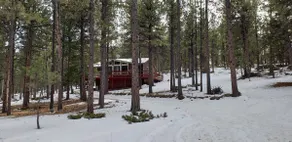 Wooded 5 Acre Cool Peaceful Mountain Cabin Retreat - Image 2