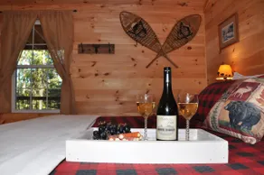 Lit'l Bit O' Heaven- Rocky Top Lodge - Image 4