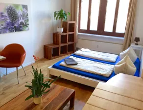 150 sqm downtown apartment for 12 people - Image 2