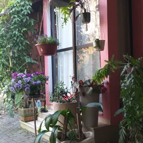 Flower Corner - Image 5