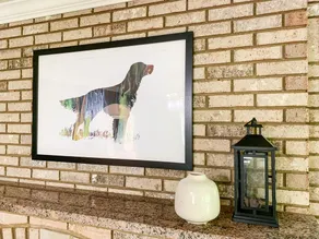 Setter Haus - Dog Friendly, near Purina Farms and - Image 3