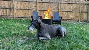 Bungalow w/Hot Tub, Fire Pit, Dog Friendly (fee) - Image 4