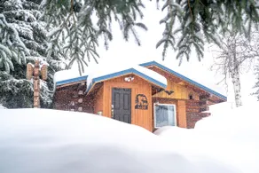 Modern Cabin in Town+Creamers Field+Trails+FirePit - Image 2