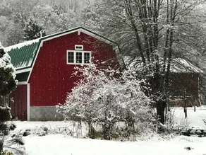 Alpaca Farmstay & Dark Skies, PA Wilds -Lumber Heritage  Region. Pet-Friendly! - Image 3