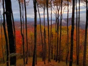 Magical Mountain View - A tree house feel - Image 5