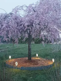 Quiet, air-conditioned XL cottage, Guédelon, Briare, StFargeau - Image 2