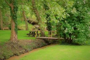 Atypical cabin ”Le Hoby” nature and quiet - Image 4