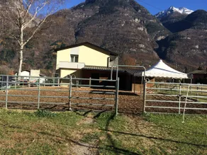 Small paradise for humans and animals - Image 4