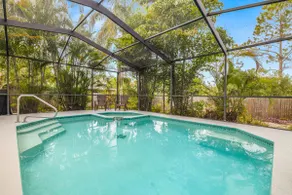 Tarpon Springs Fun in the Sun with a Pool, Beaches and Backyard Chickens - Image 2