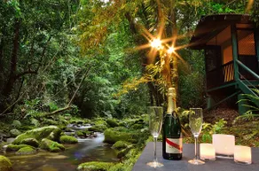 Cairns Rainforest Hideaway - Image 3