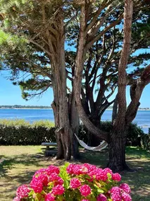 Charming oceanfront cottage - Image 5
