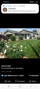 Welcome to Bella Inn quiet oasis - Image 3