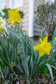 Cute & Cozy Townhome~Mins To Downtown~PetFriendly - Image 3