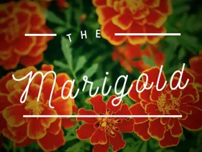 Southtown Marigold | Riverwalk 6min |WalkScore 81 - Image 1