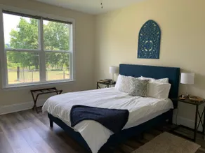 Brand New Guest Apartment on 4 Acres (Pet-Friendly!) - Image 5