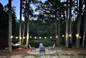 Cozy 2 bedroom cabin nestled in the pines - Image 3